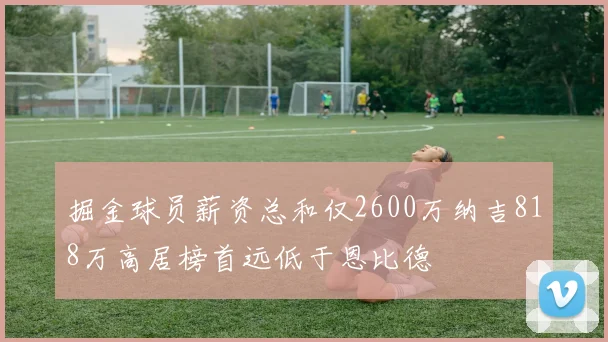 掘金球员薪资总和仅2600万纳吉818万高居榜首远低于恩比德