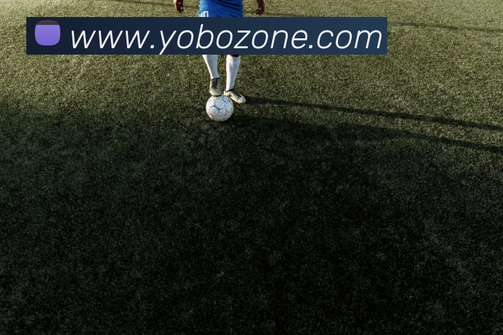 亚搏app平台生态图